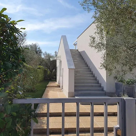 Tea Villa Zadar